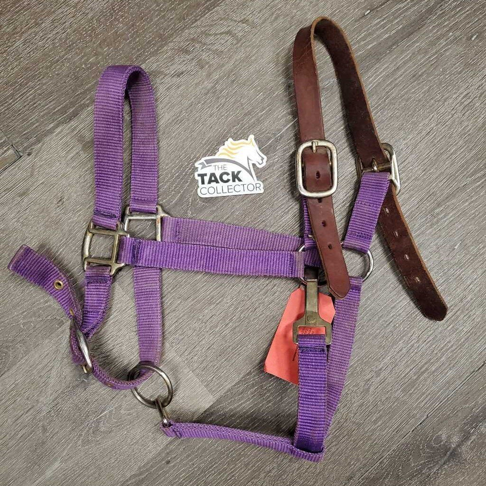 Nylon Breakaway Halter, Leather Crown, adj, snap *fair/gc, dirty, stains, faded