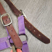 Nylon Breakaway Halter, Leather Crown, adj, snap *fair/gc, dirty, stains, faded
