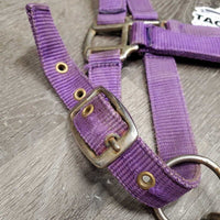 Nylon Breakaway Halter, Leather Crown, adj, snap *fair/gc, dirty, stains, faded
