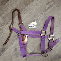 Nylon Breakaway Halter, Leather Crown, adj, snap *fair/gc, dirty, stains, faded

