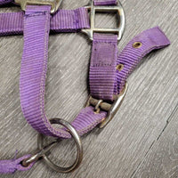 Nylon Breakaway Halter, Leather Crown, adj, snap *fair/gc, dirty, stains, faded