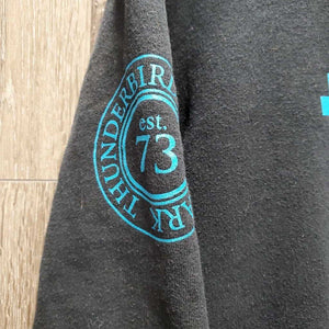Sweatshirt hoodie "TBird" *gc, faded, hairy, rubs, pills