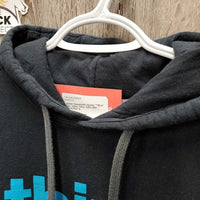 Sweatshirt hoodie "TBird" *gc, faded, hairy, rubs, pills