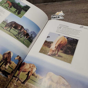 "The World of Horses" by Angela Rixon *gc, mnr dirty, sticker, rubs, bent corners, scratches