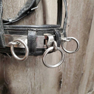 Padded Leather Lungeing Cavesson *vgc, clean, mnr scraped edges & dirt/residue