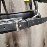 Padded Leather Lungeing Cavesson *vgc, clean, mnr scraped edges & dirt/residue
