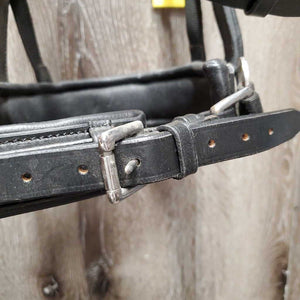 Padded Leather Lungeing Cavesson *vgc, clean, mnr scraped edges & dirt/residue