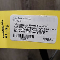Padded Leather Lungeing Cavesson *vgc, clean, mnr scraped edges & dirt/residue
