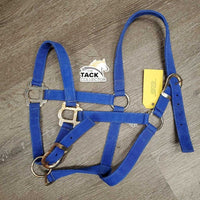 Stiff Nylon Halter, adj *gc/fair, clean, rusty, faded, v.rusty, rough/scratchy, edge frays
