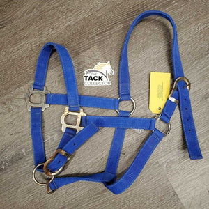 Stiff Nylon Halter, adj *gc/fair, clean, rusty, faded, v.rusty, rough/scratchy, edge frays
