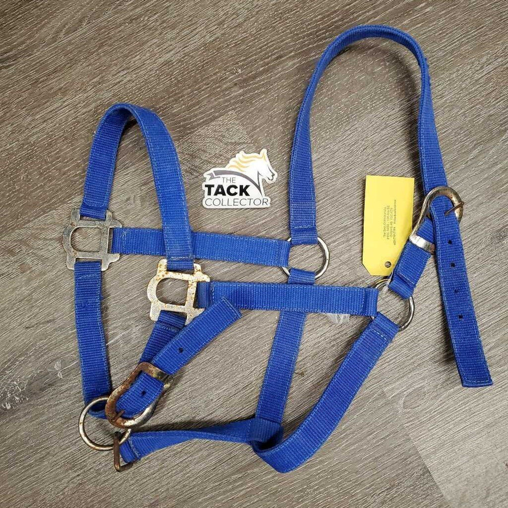 Stiff Nylon Halter, adj *gc/fair, clean, rusty, faded, v.rusty, rough/scratchy, edge frays