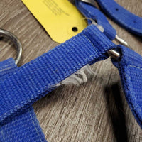 Stiff Nylon Halter, adj *gc/fair, clean, rusty, faded, v.rusty, rough/scratchy, edge frays
