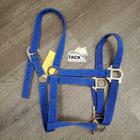 Stiff Nylon Halter, adj *gc/fair, clean, rusty, faded, v.rusty, rough/scratchy, edge frays
