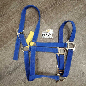 Stiff Nylon Halter, adj *gc/fair, clean, rusty, faded, v.rusty, rough/scratchy, edge frays