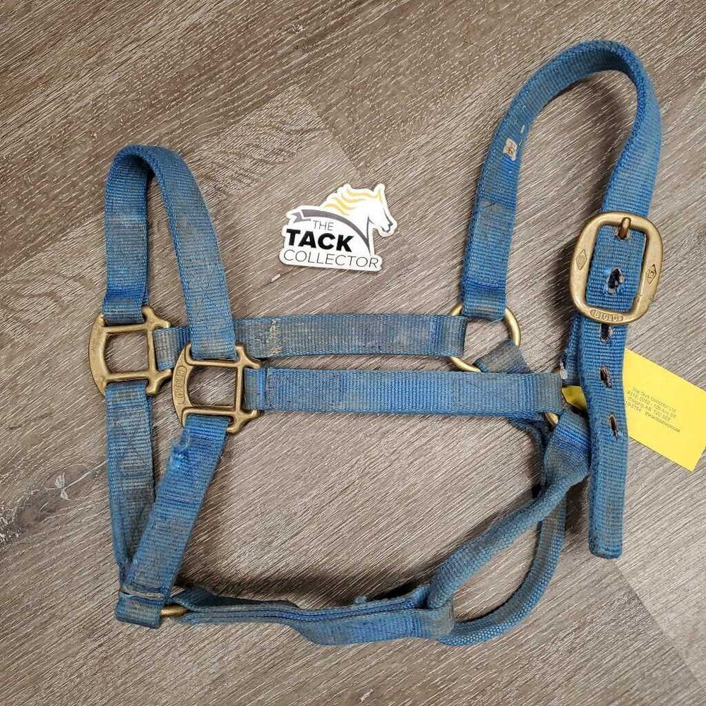 Thick Nylon Halter *fair/gc, faded, stiff, edges: frays & snags, older, dirty, stains, unwoven side