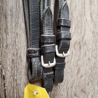 Rsd/Padded Bridle, Buckles, Rsd Plain Reins *gc, No Flash, film, clean & dirty, film, scraped edges, dry
