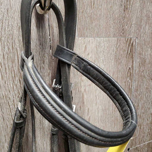 Rsd/Padded Bridle, Buckles, Rsd Plain Reins *gc, No Flash, film, clean & dirty, film, scraped edges, dry