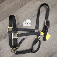 v.Thick & Hvy Nylon Halter, adj, snap *gc, dirty, faded, scratches
