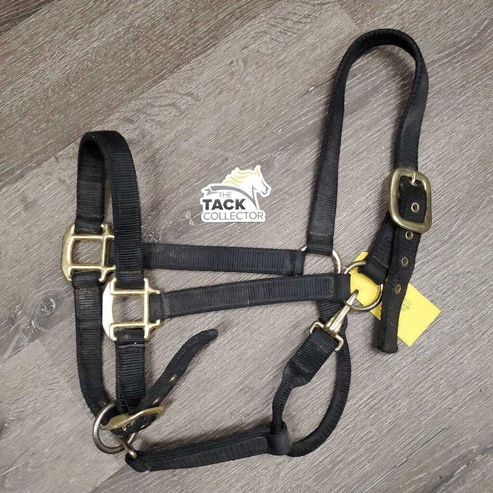 v.Thick & Hvy Nylon Halter, adj, snap *gc, dirty, faded, scratches