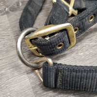 v.Thick & Hvy Nylon Halter, adj, snap *gc, dirty, faded, scratches
