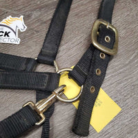 v.Thick & Hvy Nylon Halter, adj, snap *gc, dirty, faded, scratches