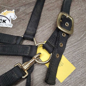 v.Thick & Hvy Nylon Halter, adj, snap *gc, dirty, faded, scratches