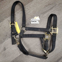 v.Thick & Hvy Nylon Halter, adj, snap *gc, dirty, faded, scratches