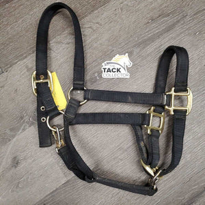 v.Thick & Hvy Nylon Halter, adj, snap *gc, dirty, faded, scratches