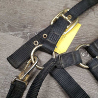 v.Thick & Hvy Nylon Halter, adj, snap *gc, dirty, faded, scratches
