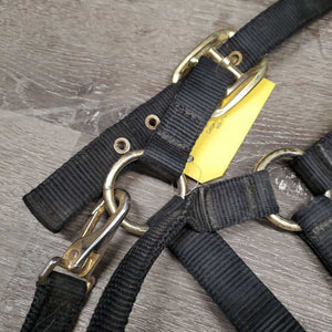 v.Thick & Hvy Nylon Halter, adj, snap *gc, dirty, faded, scratches