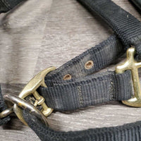 v.Thick & Hvy Nylon Halter, adj, snap *gc, dirty, faded, scratches