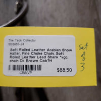 Soft Rolled Leather Arabian Show Halter, Fine Choke Chain, Soft Rolled Leather Lead Shank *vgc, chain
