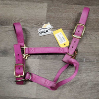 Soft Thick Nylon Halter, adj, snap *gc, dirty, faded, mnr frayed edges
