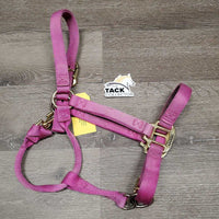 Soft Thick Nylon Halter, adj, snap *gc, dirty, faded, mnr frayed edges
