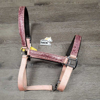 Padded Nylon Halter, snap, adj, glitter *gc, mnr dirt, peeled & missing glitter, stains
