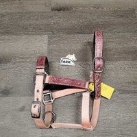 Padded Nylon Halter, snap, adj, glitter *gc, mnr dirt, peeled & missing glitter, stains
