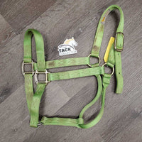 Thick Nylon Halter *gc, stains, dirty, frayed/rubbed edges & holes
