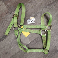 Thick Nylon Halter *gc, stains, dirty, frayed/rubbed edges & holes
