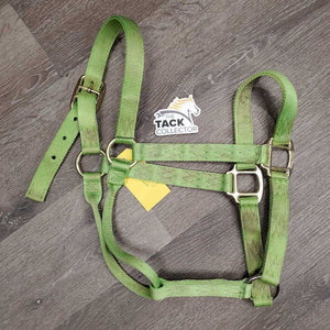 Thick Nylon Halter *gc, stains, dirty, frayed/rubbed edges & holes