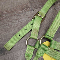 Thick Nylon Halter *gc, stains, dirty, frayed/rubbed edges & holes
