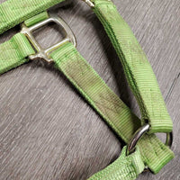 Thick Nylon Halter *gc, stains, dirty, frayed/rubbed edges & holes
