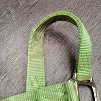 Thick Nylon Halter *gc, stains, dirty, frayed/rubbed edges & holes

