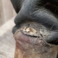 Tall Country Boots *gc/fair, clean & thick dirt, v.scuffed & faded, cracks, unstitched seams, slice