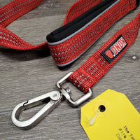 Nylon Stretchy Dog Leash, reflective, snap loop handle *like new
