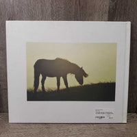 The Wild Horses of Sable Island by Debra Garside *xc, signed, dirty
