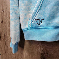 JUNIORS Sweatshirt Hoodie Jacket, Zipper *gc, faded?, pilly, rubs, mnr stains?, hair