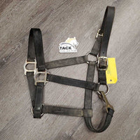 Nylon Breakaway Halter, spring snap *fair, broken crown, v.dirty, rusty, v.tight snap
