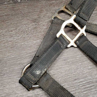 Nylon Breakaway Halter, spring snap *fair, broken crown, v.dirty, rusty, v.tight snap
