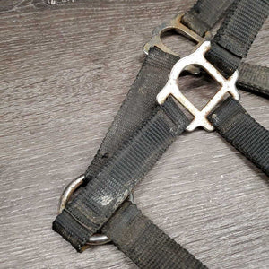 Nylon Breakaway Halter, spring snap *fair, broken crown, v.dirty, rusty, v.tight snap