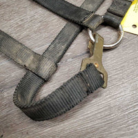 Nylon Breakaway Halter, spring snap *fair, broken crown, v.dirty, rusty, v.tight snap